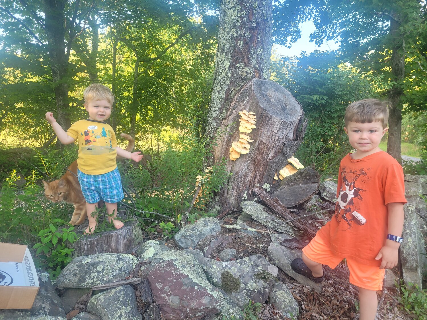 My boys enjoyed our mini-adventure and will soon taste the spoils of their success.